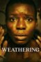 Weathering (2023) - kakek21.xyz